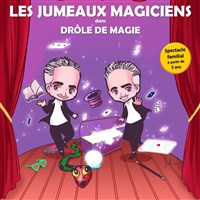 Visuel de Les Jumeaux Magiciens dans Drôle de Magie