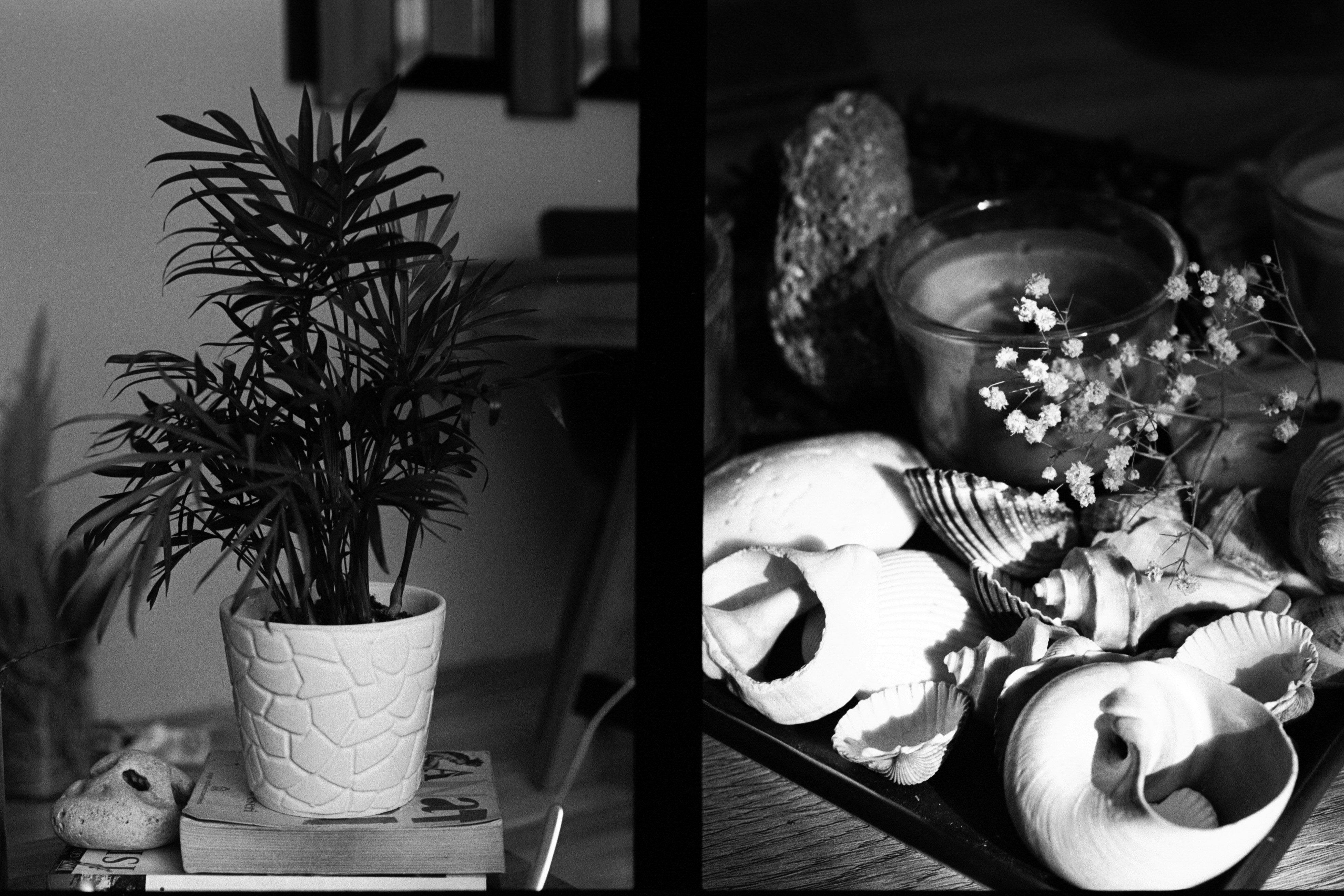 2026 : nouveaux droits parentaux, rythmes familiaux repensés et aventures à partager en famille