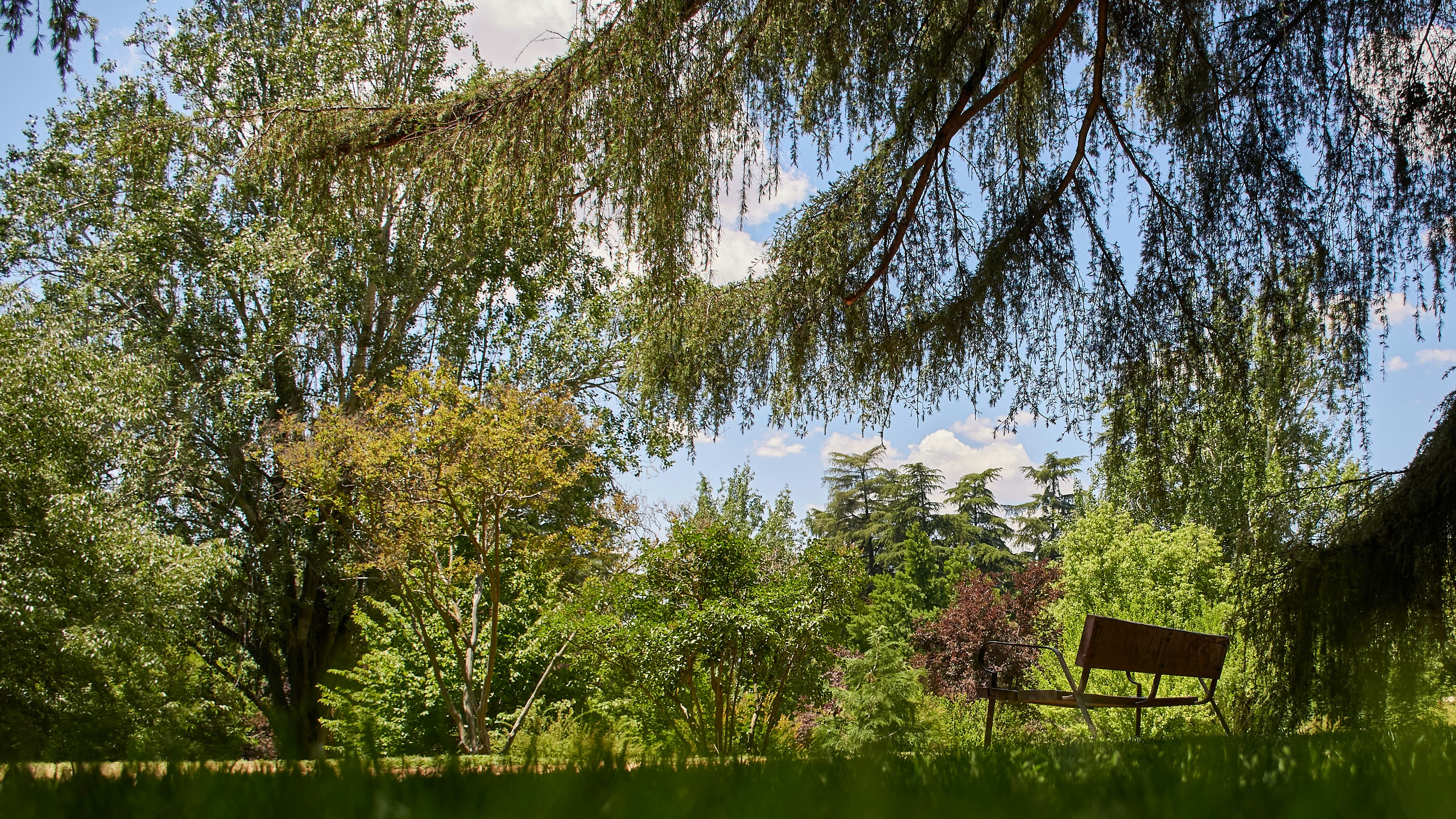 Alternatives naturelles et ludiques pour l’enfance face aux routines beauté à risque
