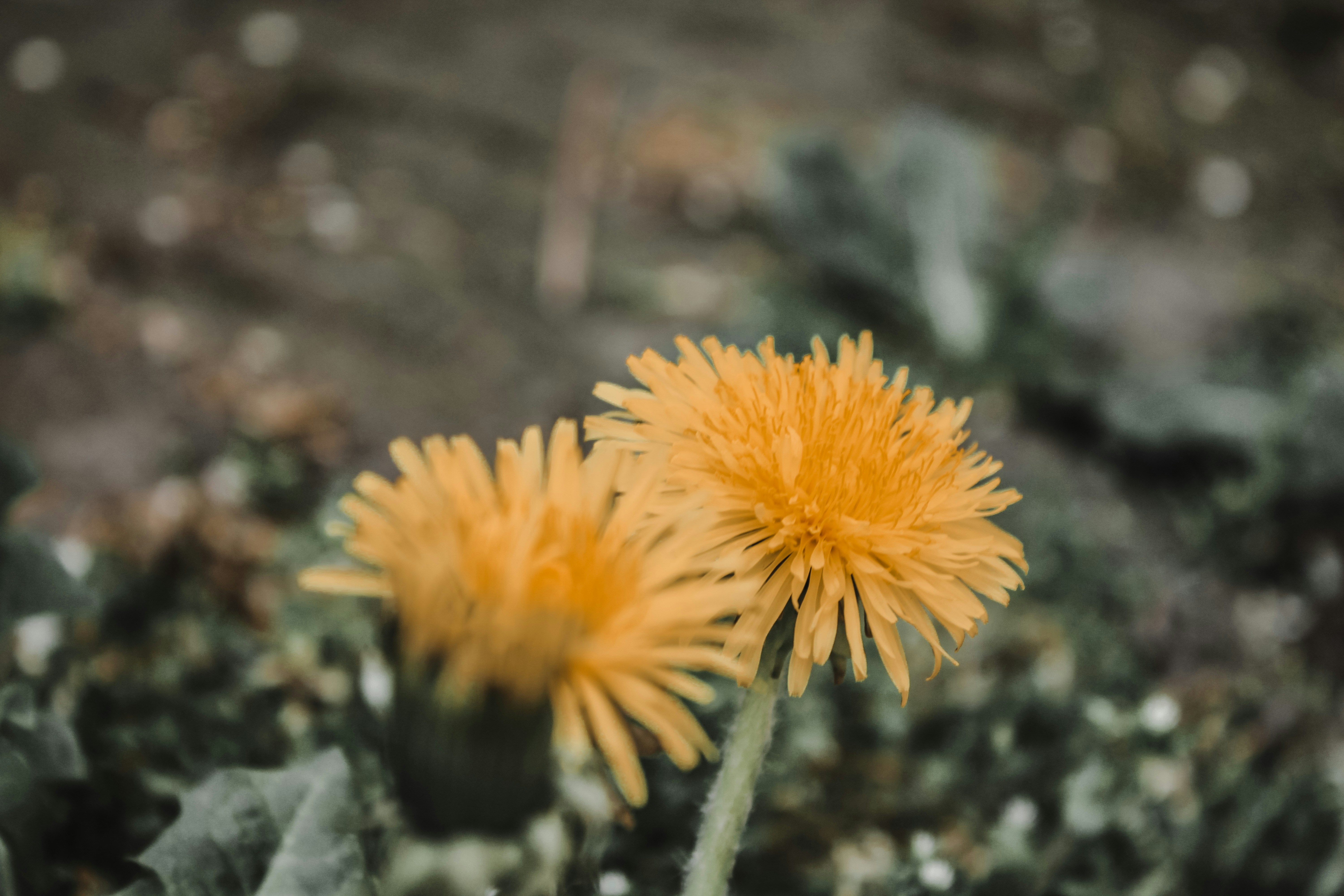 Éveiller les enfants à l’écospiritualité : des activités ludiques pour une famille en harmonie avec la nature