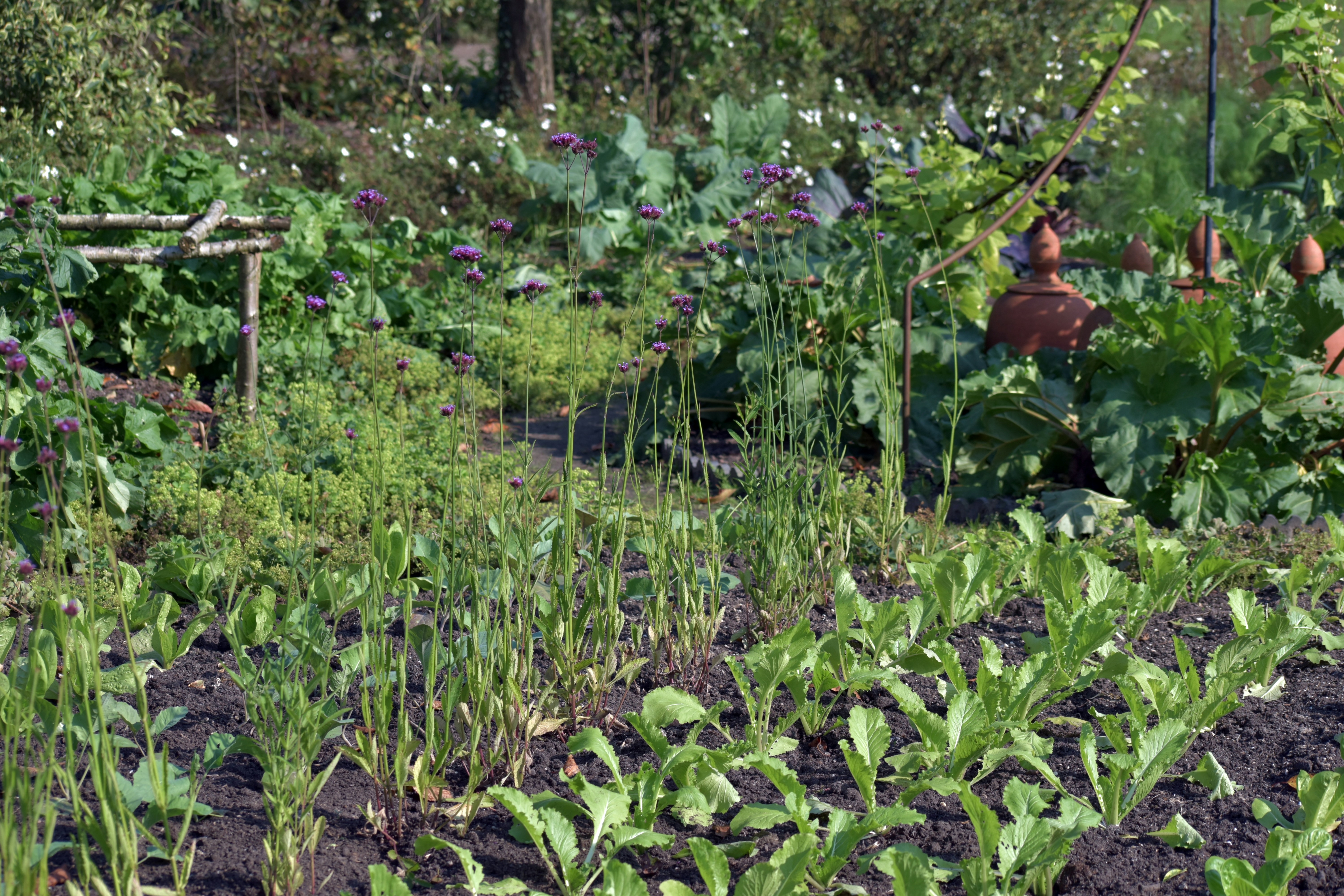 Grandir en conscience : éveiller les enfants à l’écologie, la permaculture et l’alimentation saine