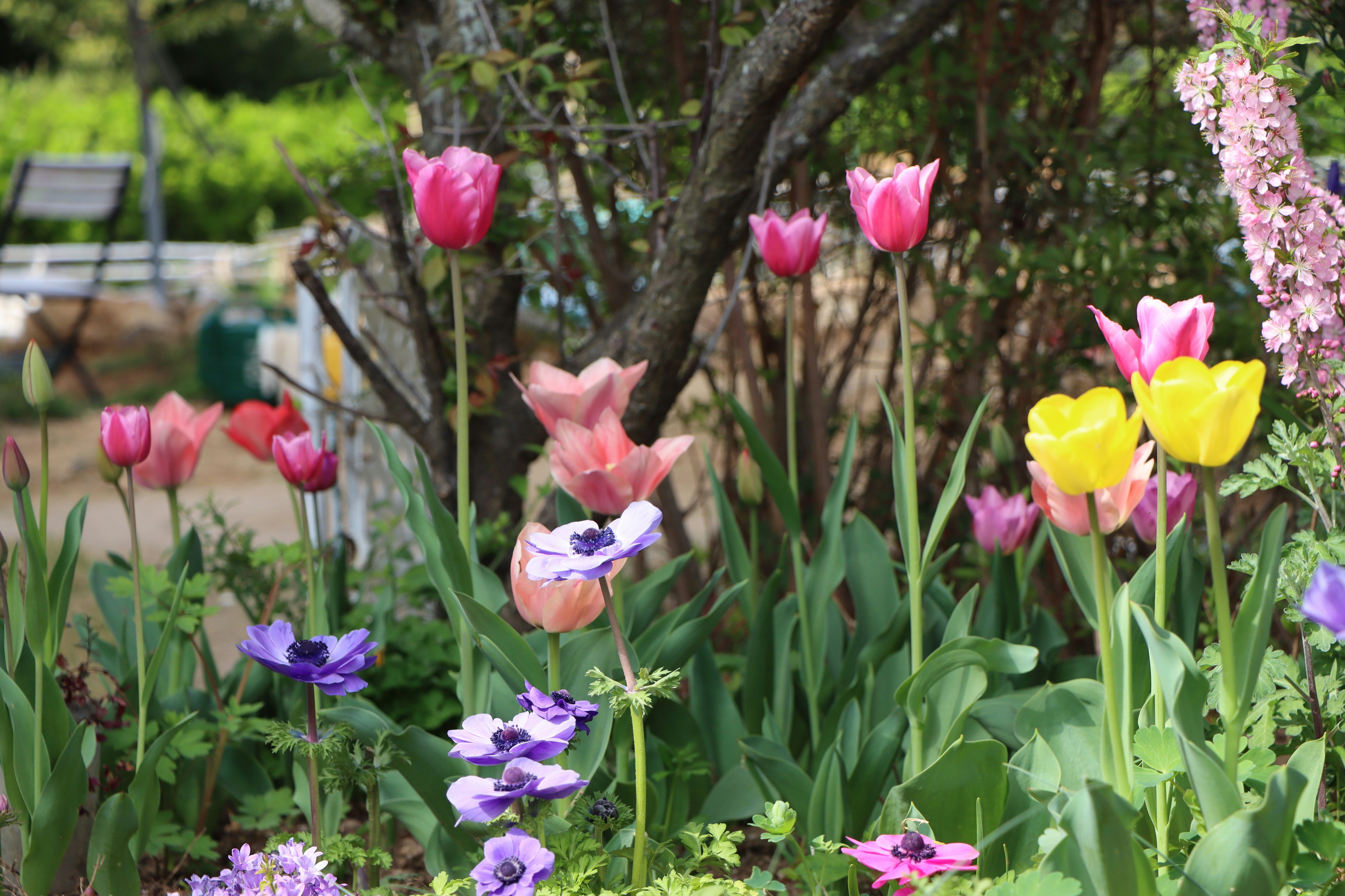 Printemps en famille : nature, cuisine végane et lectures pour éveiller à l’écologie