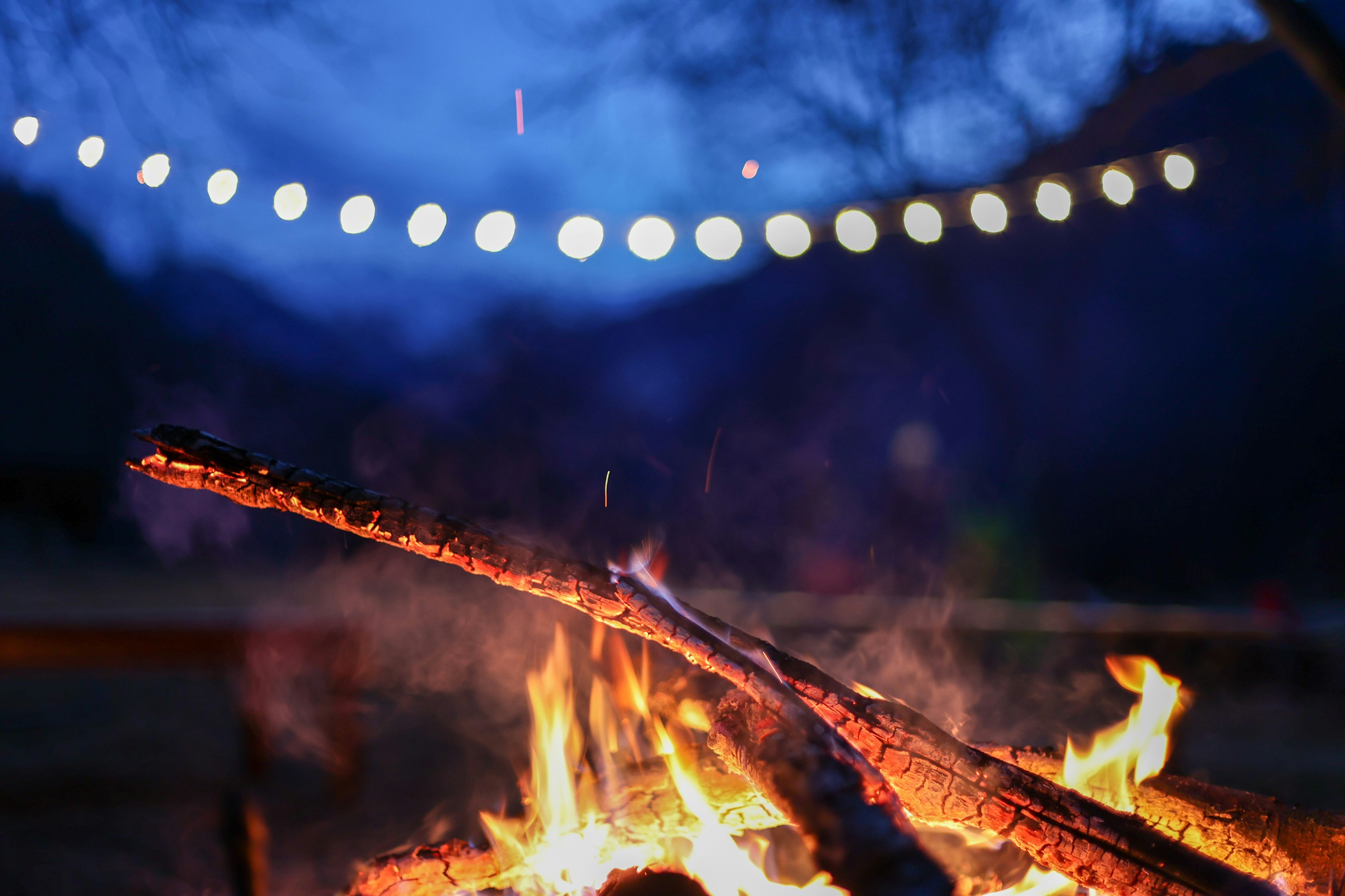 Solstice d’hiver 2025 : Familles, rituels écolos et lectures engagées pour des liens renouvelés