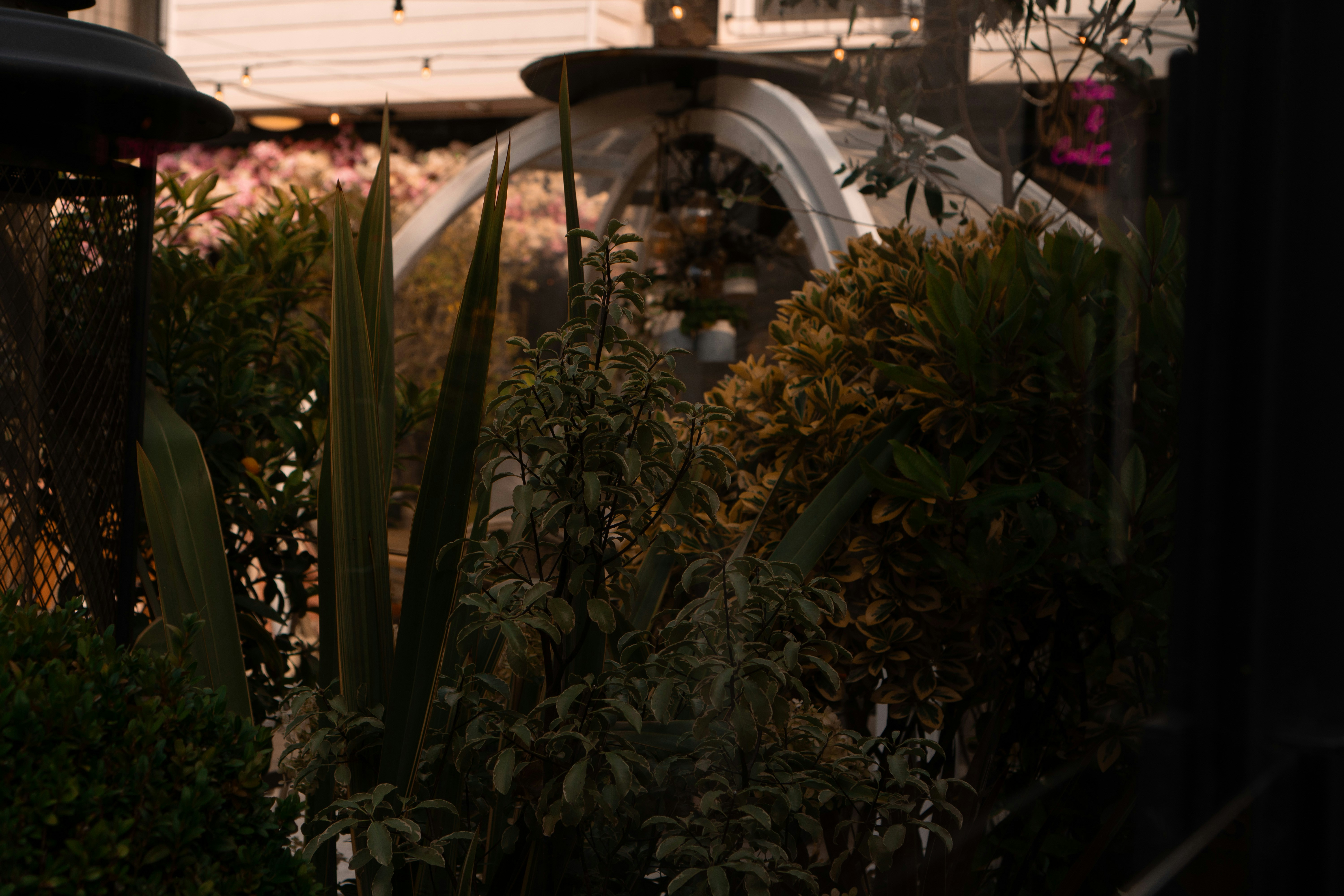 Sous la lune rouge de mars 2026