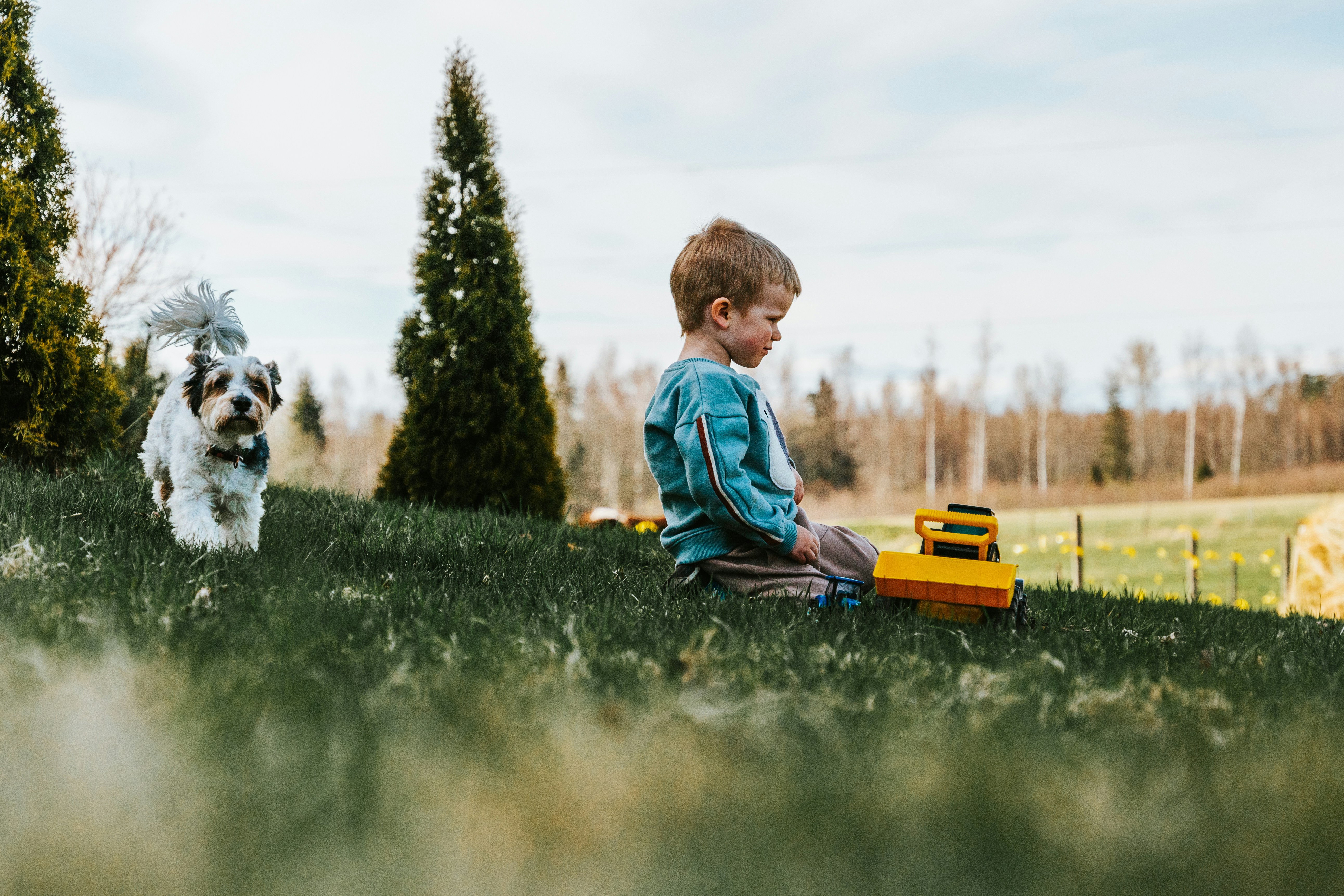 Voyager écolo en famille : livres, ateliers nature et DIY zéro déchet pour un été responsable