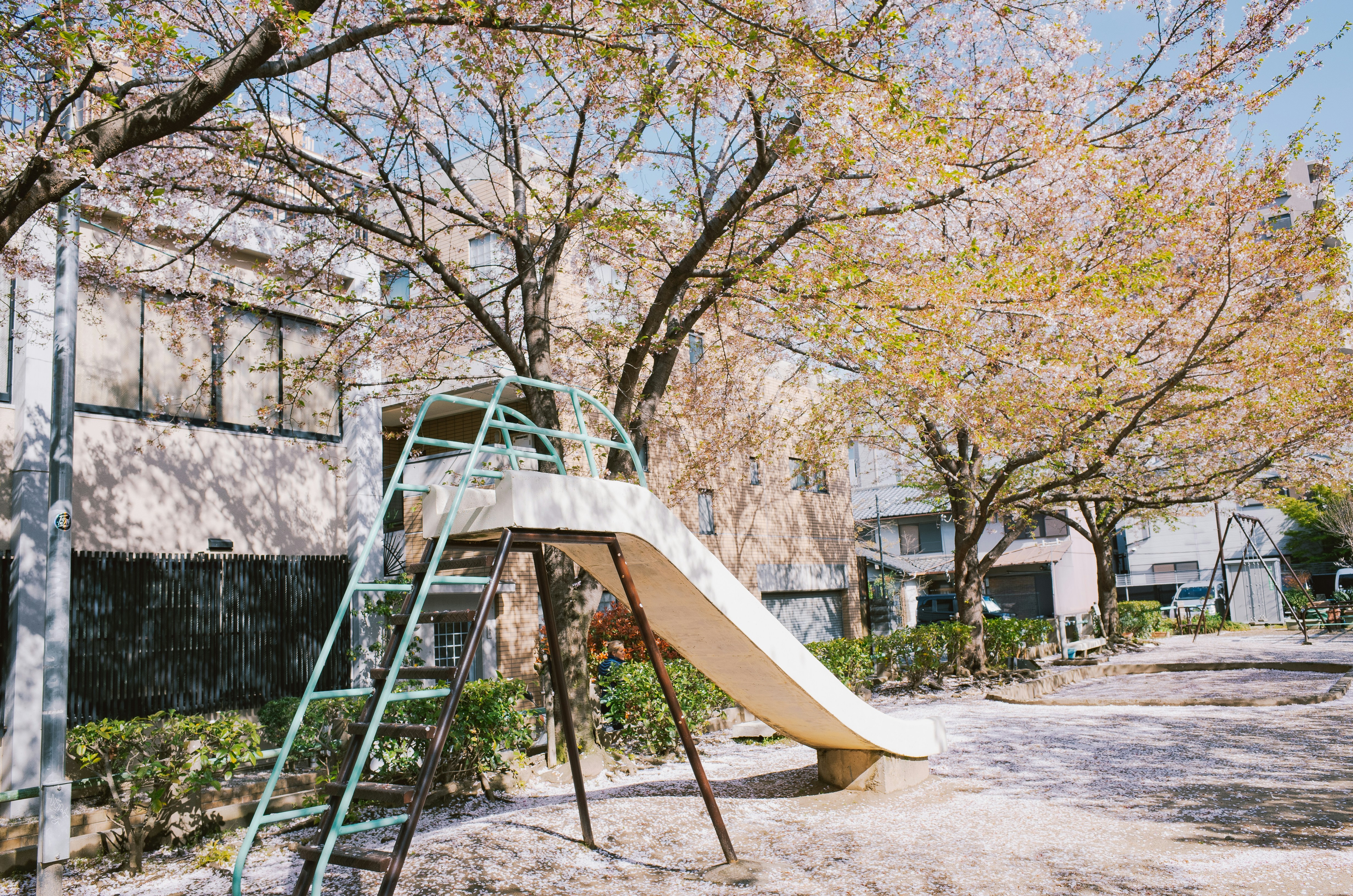 Éveiller les enfants à la nature : permaculture, biodiversité, jeux et livres