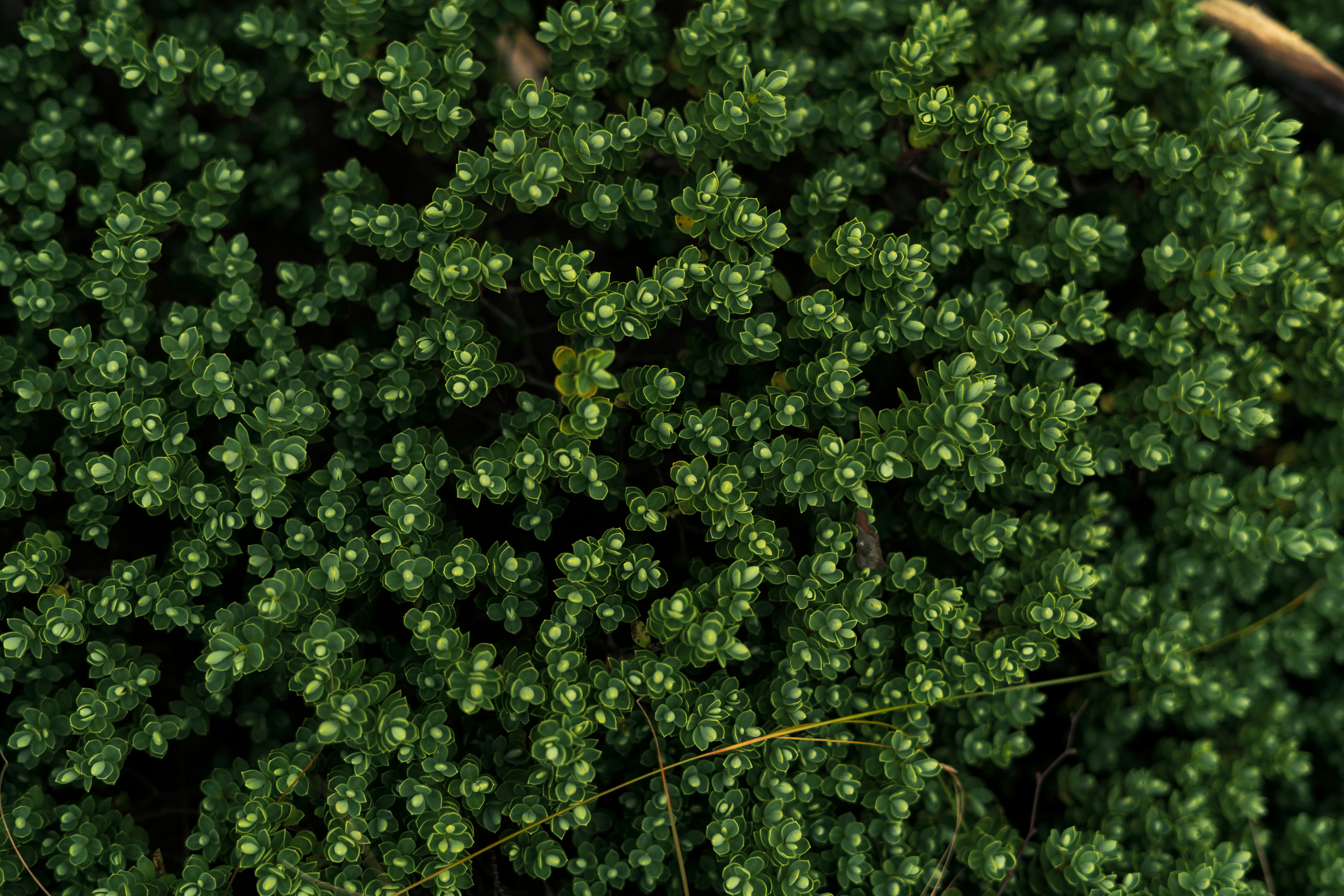 Printemps en Famille : Livres, Jeux et Activités Nature pour Éveiller les Enfants à la Biodiversité…