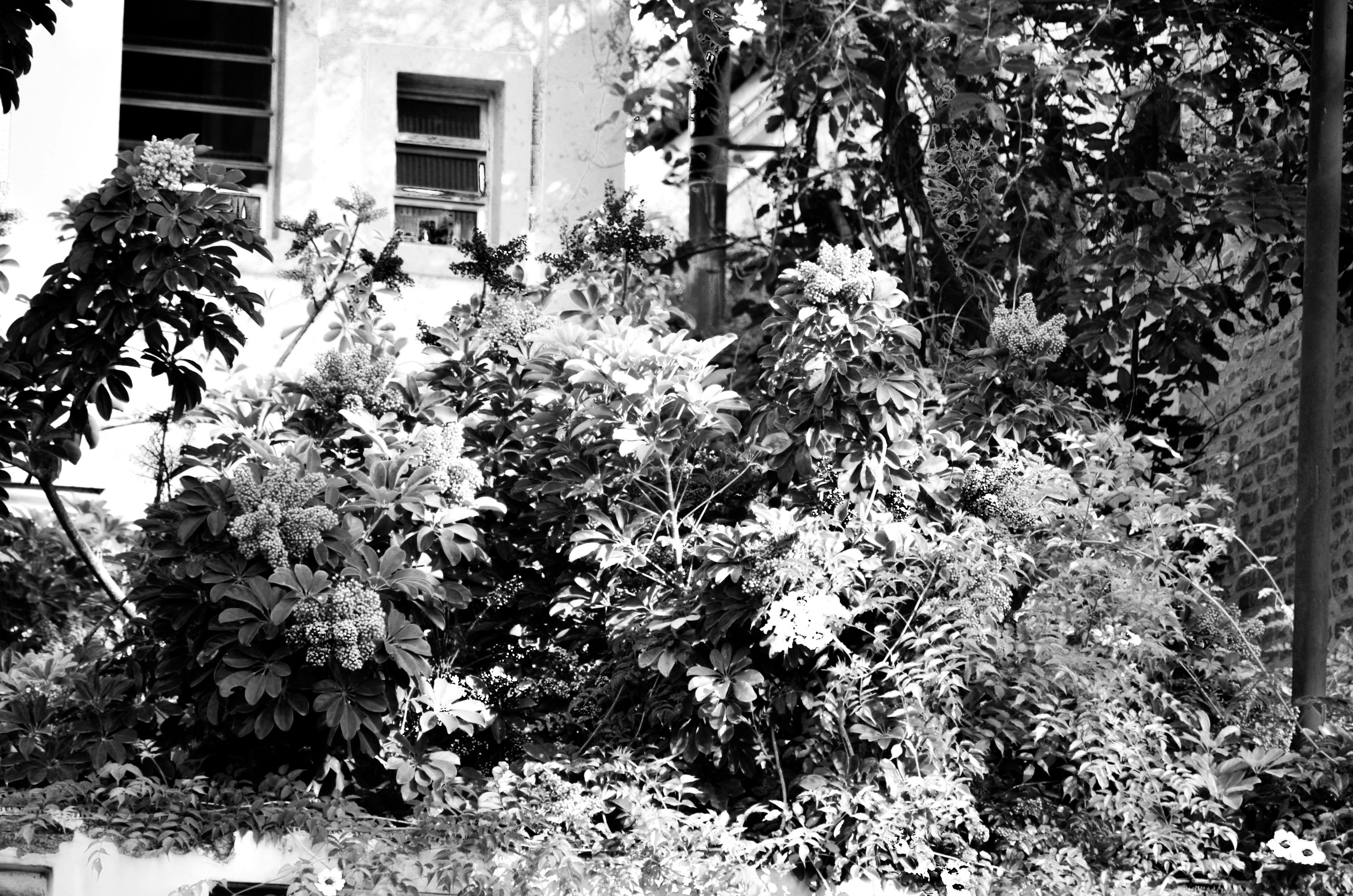 Voyager, jardiner et grandir : activités éco-responsables pour enfants citoyens du monde